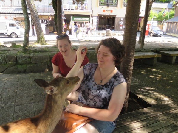No deer, you may NOT eat my momiji-shaped snack!